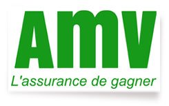 AMV LOGO